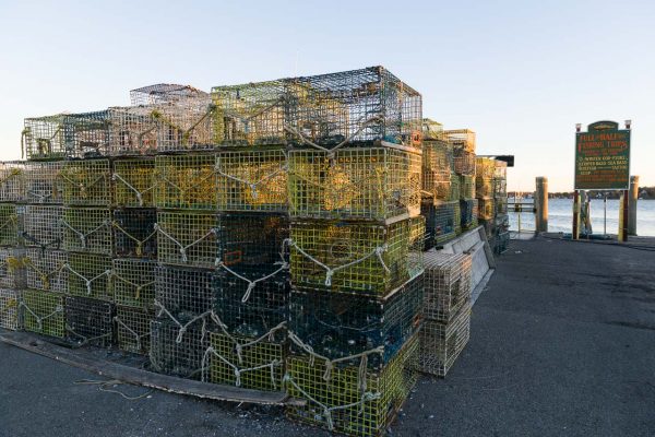 Rhode Island: Newport, Lobsterkäfige